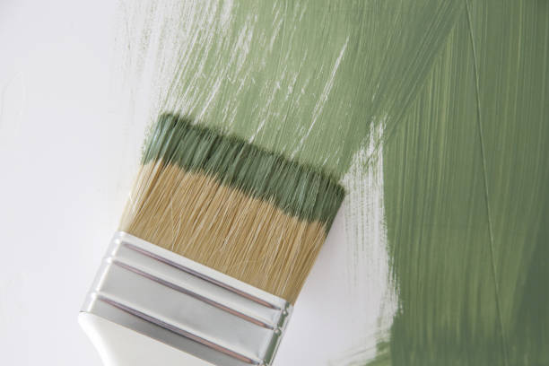Best Mold Odor Removal Services  in Grand Canyon Village, AZ