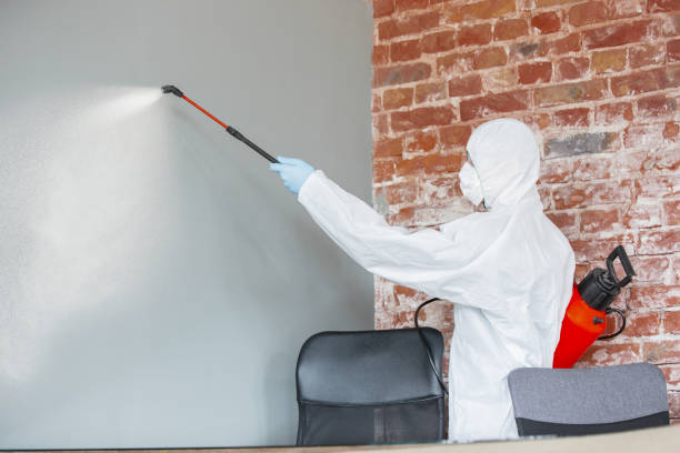 Best Asbestos and Lead Testing During Mold Inspection  in Grand Canyon Village, AZ