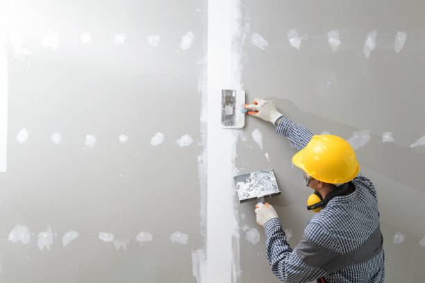 Best Comprehensive Air Testing for Mold Contaminants  in Grand Canyon Village, AZ
