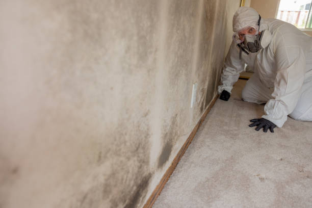 Best Air Quality Testing for Mold Spores  in Grand Canyon Village, AZ